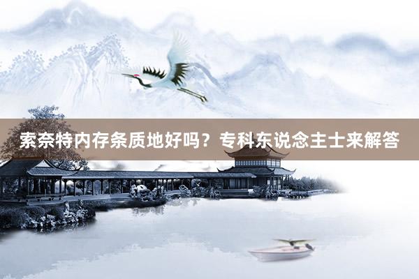 索奈特内存条质地好吗？专科东说念主士来解答